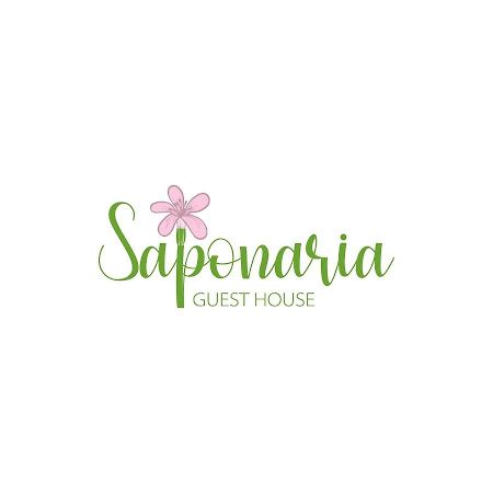 Apartamento Saponaria casa al mare CTA Exterior foto